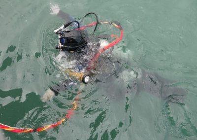 Estimasi Biaya Hull Cleaning Kapal Laut