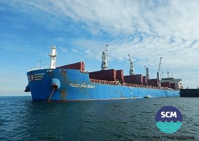Jenis-Jenis Antifouling Paint