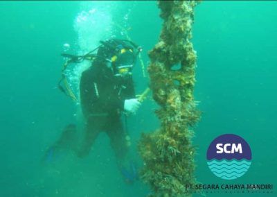 Menyelam ke Dunia Diving Company