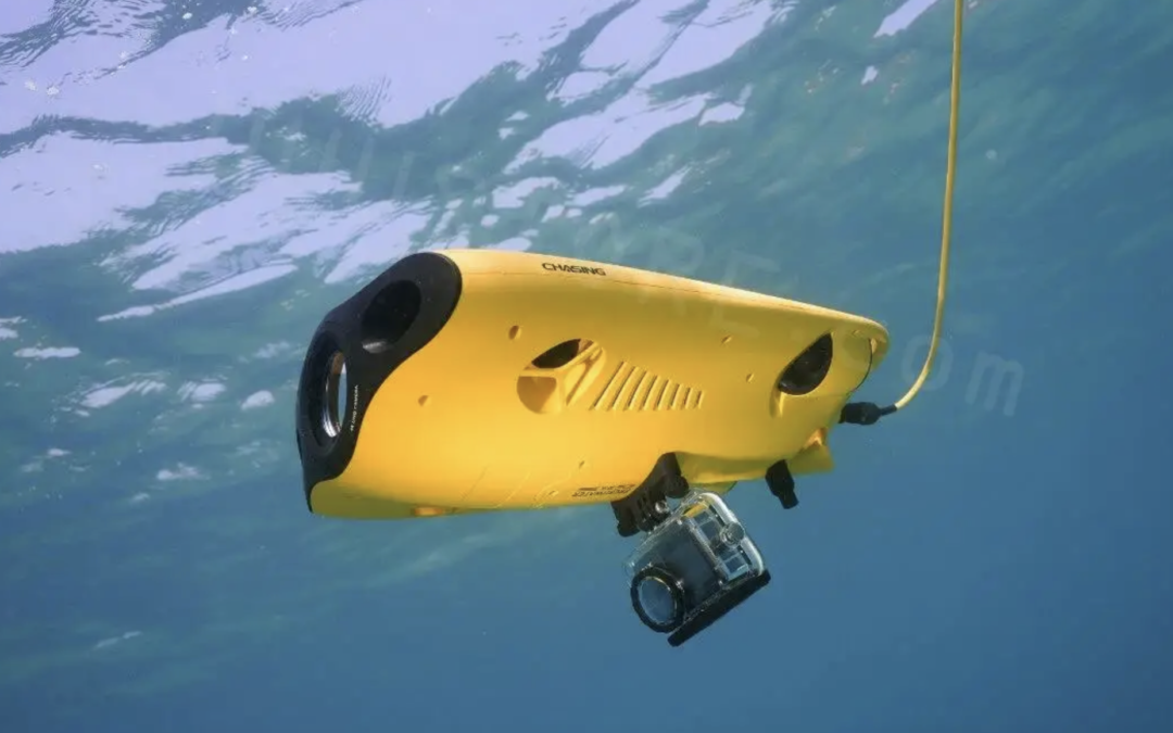 Bagaimana Proses Underwater Photography & Videography untuk Inspeksi Kapal